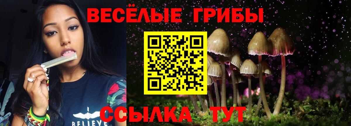 Галлюциногенные грибы MAGIC MUSHROOMS Каспийск